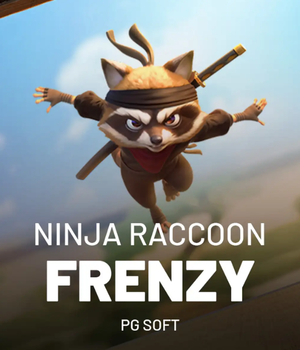 Ninja Raccoon Frenzy